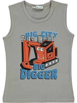 Civil Boys Erkek Çocuk Tişört 2-5 Yaş Gri