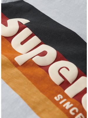 Superdry Bisiklet Yaka Baskılı Açık Mavi Erkek T-Shirt M1011904A2AD_CALI Strıped Logo T Sh