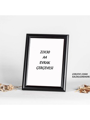 Araste 21X30 A4 Çerçeve Diploma-Belge-Fotoğraf Çerçevesi