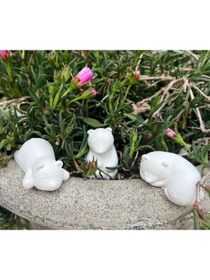 Wammolds Yorulmuş Ayıcık Silikon Kalıp