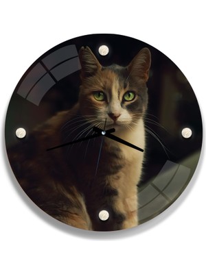 Emya Home Kedi Cam Saat - 40 cm