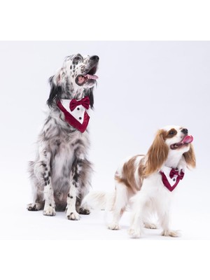 Pawstar Bordo Smokin Kedi Köpek Fuları Pet Bandanası