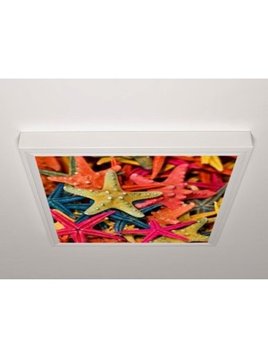 Gök Panel 60X60 LED Panel Aydınlatma Armatür Avize Sıva Üstü Desenli Tekli 46510665SU