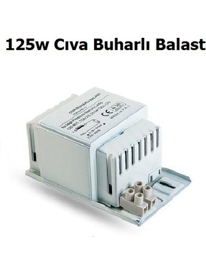 İmaj 125W Cıva Buharlı Balast