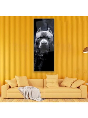 Emya Home Pitbull Cam Tablo