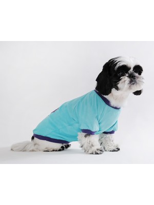 Peti Tailor Küçük ve Orta Irk Cyan Mavi Tişört Supreme