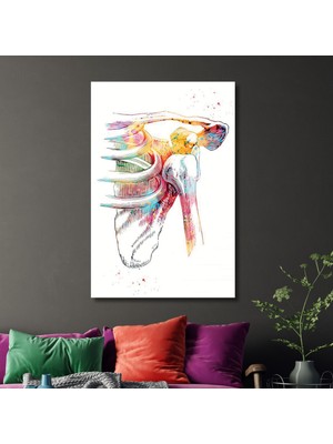 Gaagart Tekli Dikey Kanvas Ortopedi Poliklinik Tablosu Omuz Eklemi