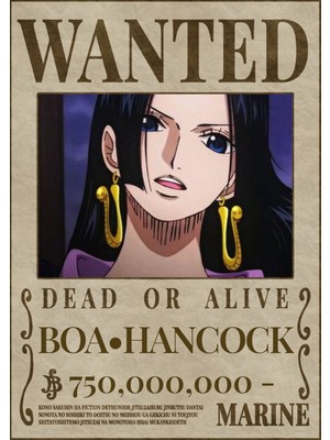 Poster City One Piece Boa Hancock Wanted Posteri - Çerçevesiz Parlak Fotoğraf Kağıdı