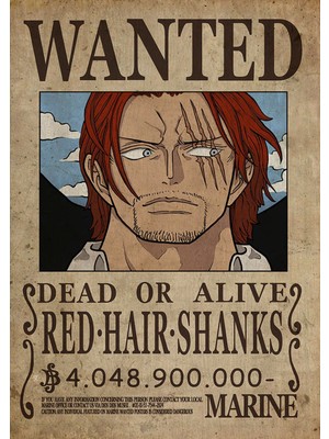 Poster City One Piece Anime Sganks Wanted Posteri - Çerçevesiz Parlak Fotoğraf Kağıdı