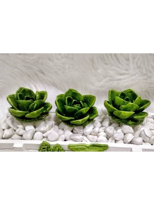 Morlalem 5,7cm Sukulent Çiçek Silikon Kalıp K-1313, Kokulu Taş Sabun Alçı Mum Kalıbı