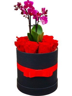 Çiçek Seli Love Serisi Orkide ve Kutuda Solmayan Güller & Canlı Bitki Hediye Çiçek Ekvator Gülü Gül Bahçesi