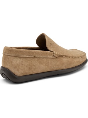 Erkek Oxford ( Klasik) 14F4 Frau Castoropunz Avena (Beige)