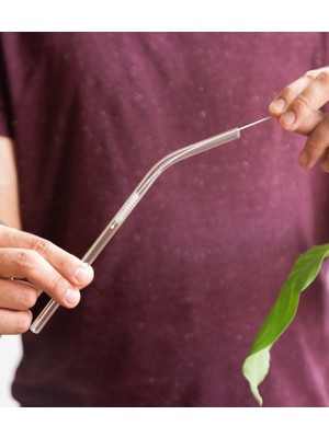 12 Adet Cam Pipet ve 1 Adet Pipet Temizleme Fırçası