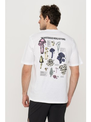 Jack & Jones Jorrecıpe Tee Ss Crew Neck Tg Ln