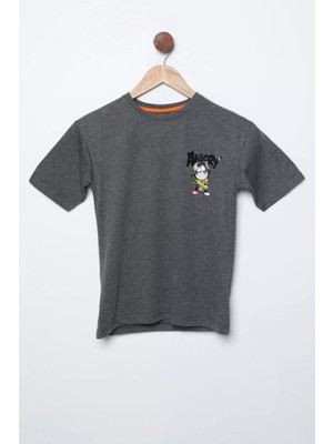 Julude Antrasit Kedi Baskılı Bisiklet Yaka Erkek Çocuk Tişört P-00009699