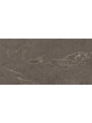 VitrA 60X120 Meteorite Fon Vizon Mat R10B K953499R0001VTSP