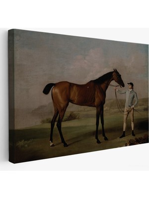 Harita Sepeti George Stubbs'un Uzun Bacaklı At ve Jokeyi Tablosu - Molly Long-Legs With Her JOCKEY-7012