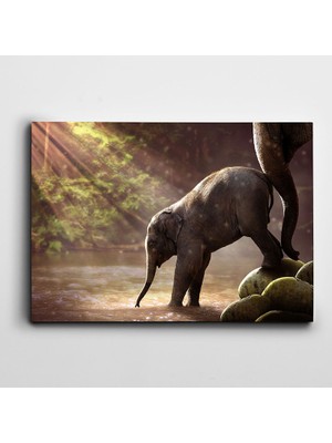 Dekolata Su İçen Fil Kanvas Tablo