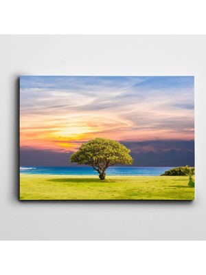 Dekolata Deniz Ağaç Kanvas Tablo