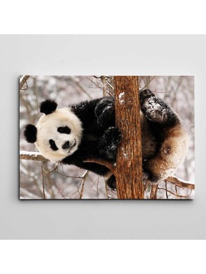 Dekolata Sevimli Panda Kanvas Tablo