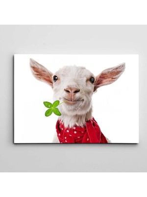 Dekolata Sevimli Keçi Kanvas Tablo