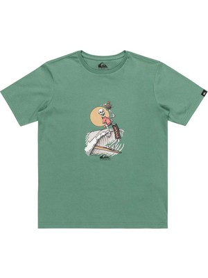 Quiksilver Neverending Surf Youth Erkek Çocuk Renkli Tişört