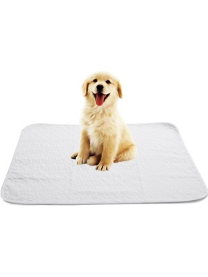 Abso Yıkanabilir Kedi Köpek Çiş Pedi 75X85 cm (Beyaz)