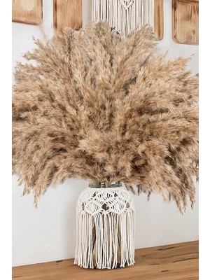 10 Adet Kurutulmuş Pampas Otu, 100 cm Boyunda Pampas Otu Görkemli Otu Kabarık Pampas Otu