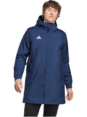 Adidas ENT22 Stadjkt Erkek  Mont IB6077