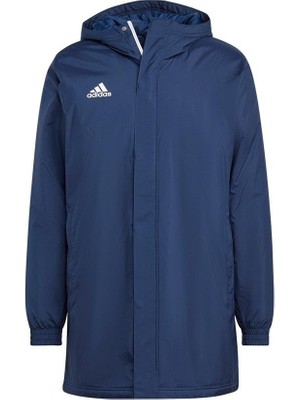 Adidas ENT22 Stadjkt Erkek  Mont IB6077