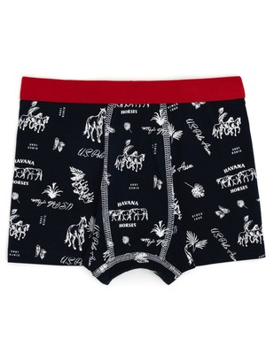 U.S. Polo Assn. Erkek Çocuk 3'lü Boxer 50291800-VR030