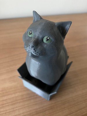 Root Made British Kedi Biblo Dekoratif Kedi Figür Kutudan Çıkan Kedi Biblosu 13CM