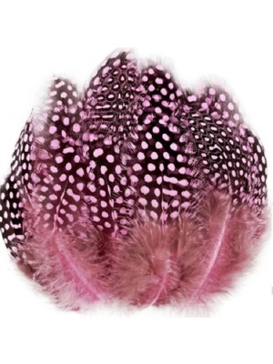 Niyet Decor Bırd Feather 50 Adet Puantiyeli Pembe Siyah Tüy Dekor - 3 Paket