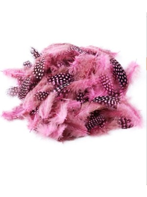 Niyet Decor Bırd Feather 50 Adet Puantiyeli Pembe Siyah Tüy Dekor - 3 Paket