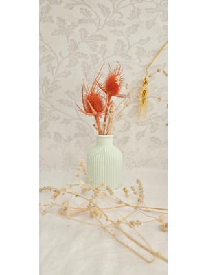 Laurel-Wood Düz Beyaz Minyatür-Pampas Rengarenk Vazolar