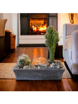 Doğa Garden Dekoratif Gri-Gold Taş Saksıda Kaktüs Aranjmanı