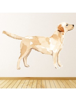 Jeronkarji Labrador Retriever Köpek Kulübesi Bakım Dekoratif Duvar Sticker Çıkartma Yatak Çocuk Odası