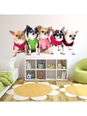 Jeronkarji Chihuahua Yavru Köpekler Dekoratif Duvar Sticker Çıkartma Bebek Çocuk Odası