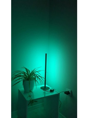 Smyrna Store Rgb Lambader Kumandalı Dekoratif Masaüstü Yatak Başı LED Lambader Aydınlatması 50CM