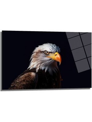 Glazella Kara Kartal Dekorati̇f Yatay Cam Tablo, Ev Dekorasyon, Ofi̇s Dekorasyon