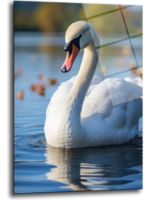 Glazella Kuğu Dekorati̇f Di̇key Cam Tablo, Ev Dekorasyon, Ofi̇s Dekorasyon