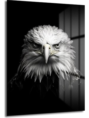 Glazella Si̇yah Beyaz Kartal Dekorati̇f Di̇key Cam Tablo, Ev Dekorasyon, Ofi̇s Dekorasyon