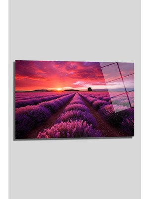 Glazella Mor Çi̇çek Tarlası Dekorati̇f Yatay Cam Tablo