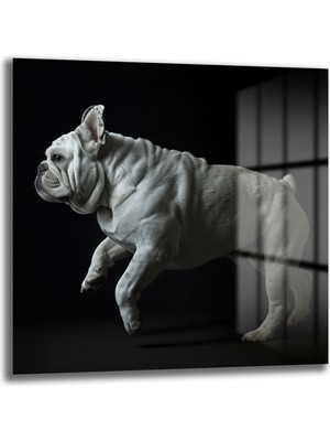 Glazella French Bulldog Cam Tablo