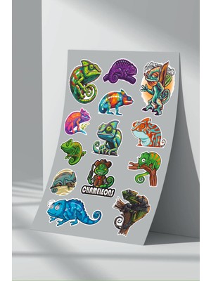 Stickermarket Bukalemun Sticker Seti (4)