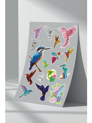 StickerMarket Kuş Sticker Seti (2)