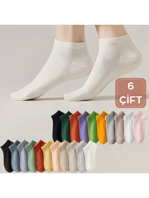 Kral Socks Renkli (6 Çift) Likralı Pamuklu Penye Kadın Patik Çorap