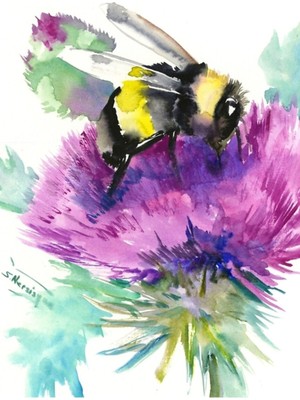 Jeronkarji Yaban Arısı Devedikeni Çiçeği, Bitkisel Sanat, Arı, Ballı Otlar Vegan Tablo Ahşap Poster Dekoratif