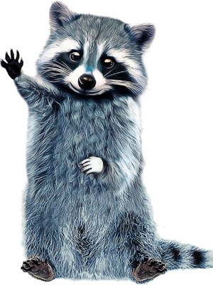 Jeronkarji Rakun Gömlek Çöp Panda Tablo Ahşap Poster Dekoratif