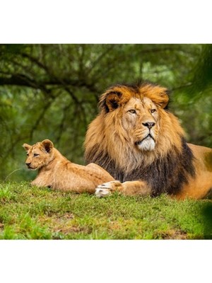 Jeronkarji Baba ve Oğul Tablo Ahşap Poster Dekoratif